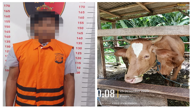 Pengungkapan Kasus Pencurian Sapi di Ketapang